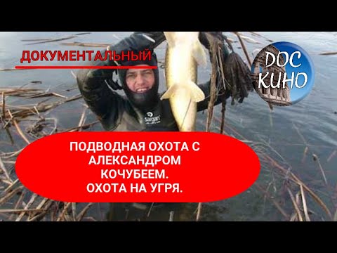 Видео: ПОДВОДНАЯ ОХОТА С АЛЕКСАНДРОМ КОЧУБЕЕМ. ОХОТА НА УГРЯ. 🌎 ДОКУМЕНТАЛЬНОЕ КИНО 🎆 2007
