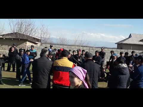 Видео: туйлар муборак булсин Фарходжон Абийиров