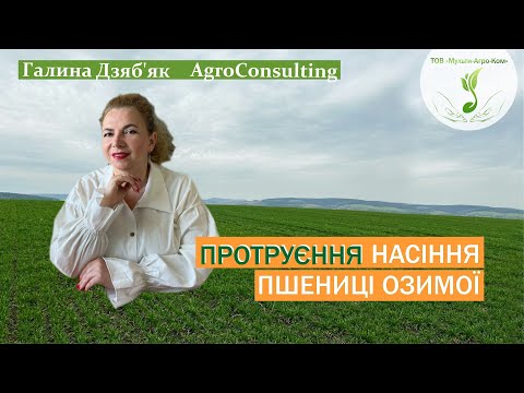 Видео: Чим обробити насіння пшениці: фунгіцидні, інсектицидні протруйники, стимулятори росту