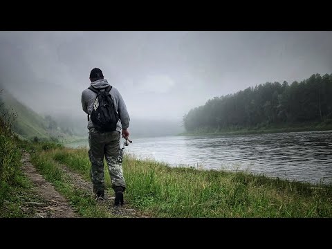 Видео: РЫБАЛКА НА МАНСКОЙ ПЕТЛЕ !!! ПРИРОДА КАЙФ