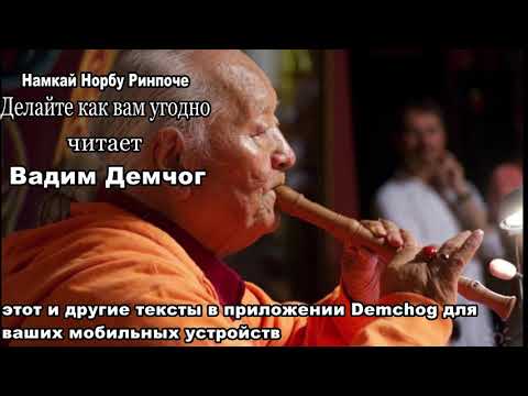 Видео: Намкай Норбу Ринпоче I Делайте как вам угодно I мобильное приложение Demchog