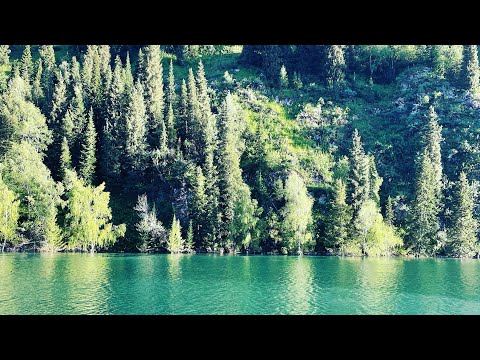 Видео: РЫБАЛКА В ГОРАХ , ЛОВЛЯ ОСМАНА
