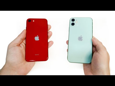 Видео: Что выбрать? iPhone SE 2022 или iPhone 11? ЧЕЛКА ИЛИ КНОПКА?