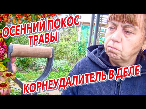 Видео: Корнеудалитель в деле Осенний покос травы Яблочно сливовый сок