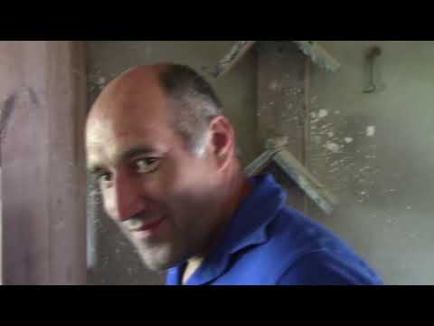 Видео: г.Марьинка голуби Повный В.Н.