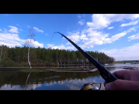 Видео: ВЕСЕННИЙ КАРП НА ПОПЛАВОЧНУЮ УДОЧКУ! РЫБАЛКА В КОКИНО (НОВЫЙ ВОДОЕМ)
