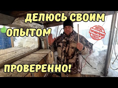 Видео: Маточник с подогревом для кролика.