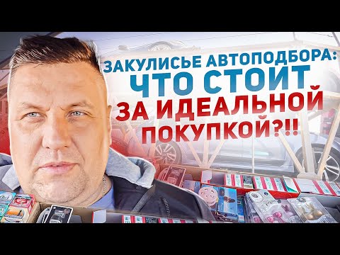 Видео: Как покупают автомобили во Владивостоке, закулисье автоподбора. Как теперь живут без Зеленого угла