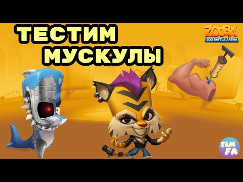 Видео: Зуба Тестим Мускулы Zooba Events Финн Джейд Зуба болеет