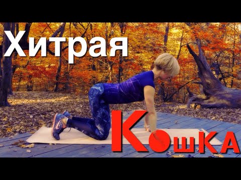 Видео: ХИТРАЯ КОШКА вам поможет | Как утром стать энергичным и гибким с помощью одного упражнения и дыхания