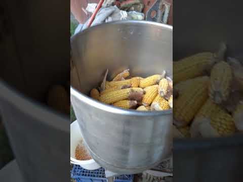 Видео: Лущилка для кукурузы