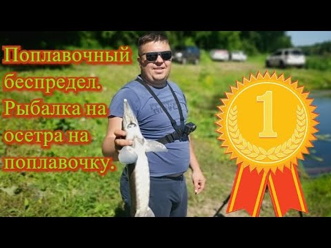 Видео: Поплавочный беспредел.Рыбалка на осетра на поплавочку.