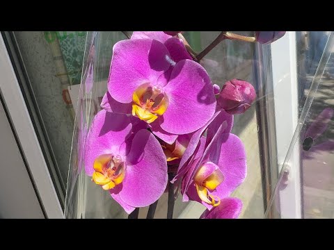 Видео: Первомайский обзорчик ❤️😁🌸