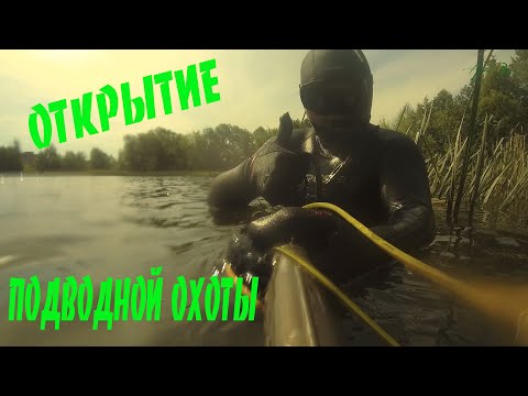 Видео: ОТКРЫТИЕ ПОДВОДНОЙ ОХОТЫ 2020. ОТЛИЧНАЯ ВИДИМОСТЬ