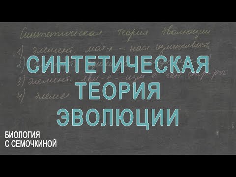 Видео: Синтетическая теория эволюции
