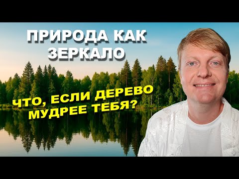 Видео: Природа как зеркало: уроки деревьев и рек