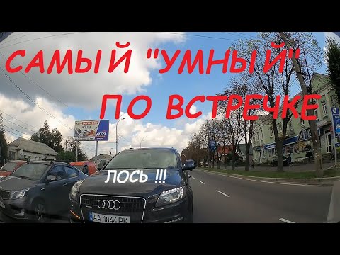 Видео: Самый умный по встречке
