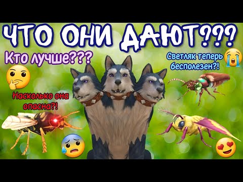 Видео: ЧТО ДАЮТ НОВЫЕ ПРИЯТЕЛИ??? СВЕТЛЯК ТЕПЕРЬ БЕСПОЛЕЗЕН?! НАСКОЛЬКО ОПАСНА ОСА?!?! Wildcraft