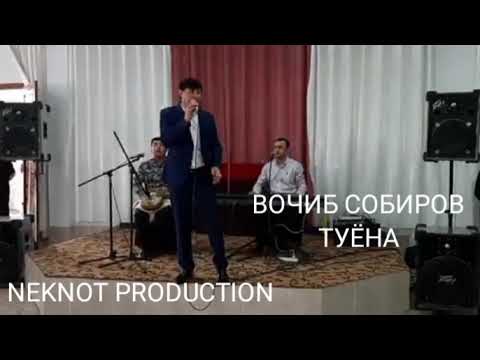 Видео: Bojib_Sobirov-Tuyona//2022//Вочиб_Собиров-Туёна