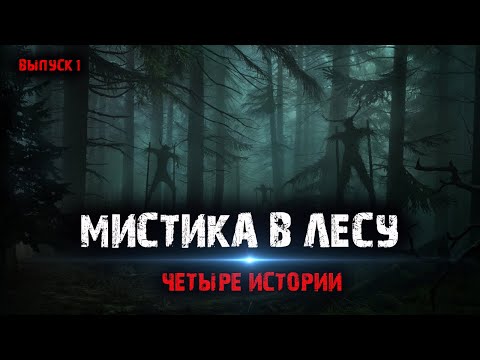 Видео: Мистика в лесу (4в1) Сборник №1.