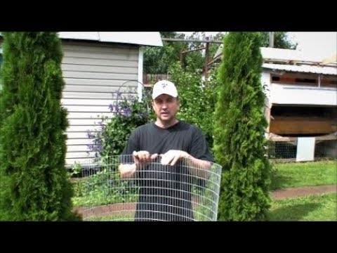 Видео: Еськина клетка СТРОИМ КЛЕТКУ часть третья СЕТКА ДЛЯ КРОЛИКОВ