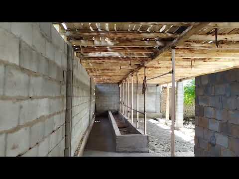 Видео: УСТАЛАРДИ КИЛГАН ИШИНИ КАРАНГ КОМОЛДИНДИ ХОНОДОНИДА