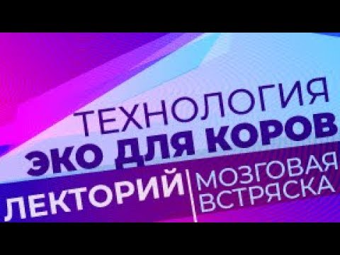 Видео: Технология ЭКО для КРС/Лекторий. Мозговая встряска