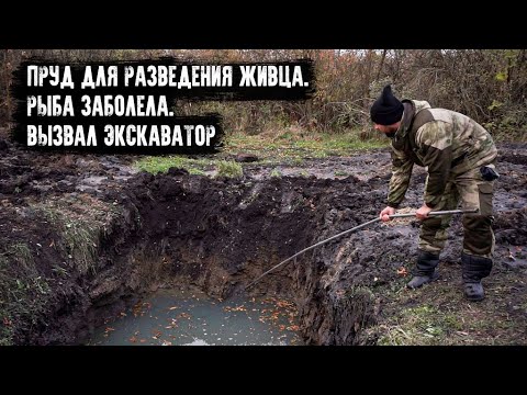 Видео: Пруд на участке. Рыба заболела краснухой. Расширяю пруд экскаватором