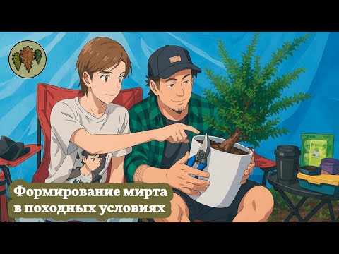 Видео: Формирование бонсай из мирта в походных условиях