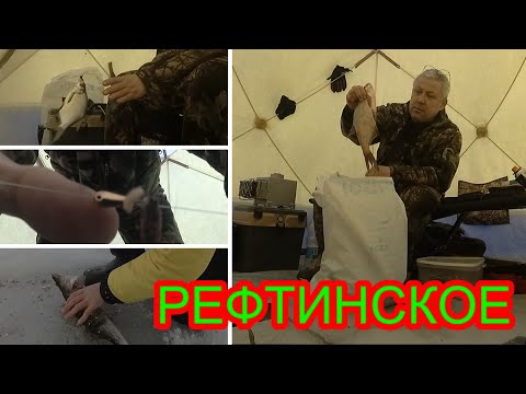 Видео: РЕФТИНСКОЕ ВДХР. ПЛЯЖ. ЛЕЩ. СУДАК. ОТЧЕТ 8-10.03.24