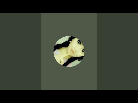 Видео: Запал Кизлар в прямом эфире!