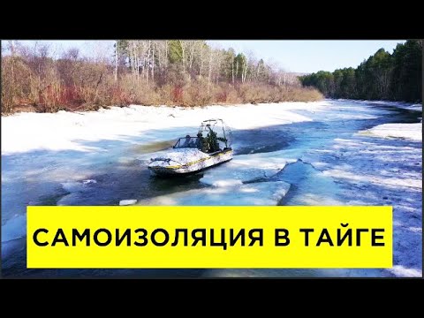 Видео: САМОИЗОЛЯЦИЯ в тайге с аэролодкой Аллигатор (аэроглиссер, аэросани) 12+