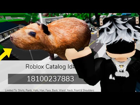 Видео: КАПИБАРУ УЖЕ НЕ ОСТАНОВИТЬ! ( Brookhaven ) ( Roblox )