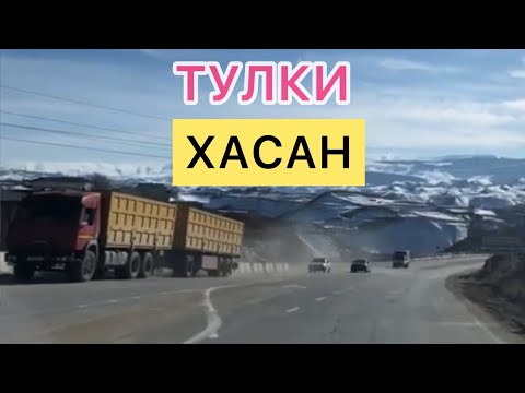 Видео: ТУЛКИ ХАСАН АКУША ВИДЕО