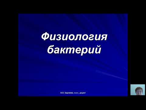 Видео: Общая микробиология (Бадлеева М.В.) - 3 лекция