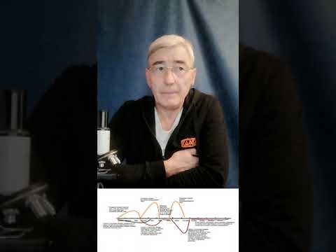 Видео: КОРОТКО О ВАЖНОМ. ПЧЕЛЫ. Клещи Варроа и гибельные ошибки пчеловодов