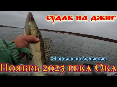 Видео: Осень на реке Ока: Ловим судака, пока не поздно!