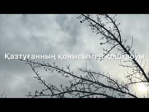 Видео: Қ.Сүйінішұлы “Қазтуғанның қонысымен қоштасуы”