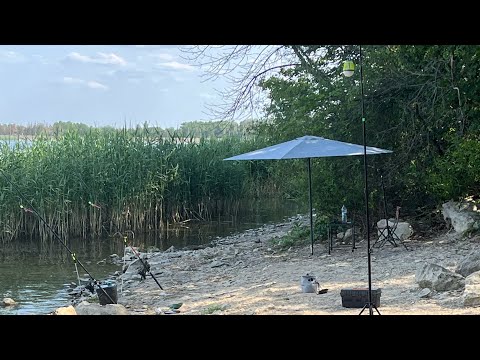 Видео: Рыбалка на Печенегах 2025 !  Подлещик на пружину ! Ночевка в Черном Лесу !  Уха из леща !