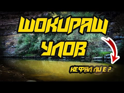 Видео: Риболов на КЕФАЛ , ШОКИРАЩ УЛОВ