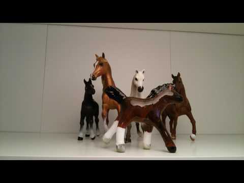 Видео: Подробный обзор лошадей часть 2