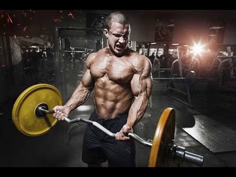 Видео: Андрей Замятин - Электролиты - Утомляемость ЦНС - Скока подходов на массу - Отказы и 5 по 5