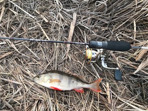 Видео: Мормышинг на Мышанке, Беларусь