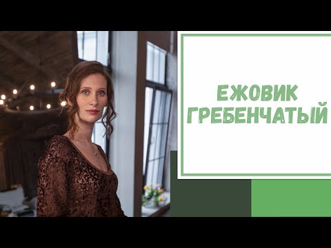 Видео: Лайфхак №101. Ежовик гребенчатый