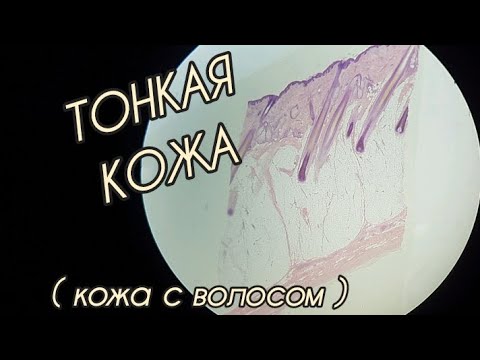 Видео: ТОНКАЯ КОЖА