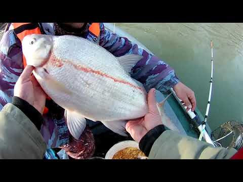 Видео: Рыбалка на донки и кольцо. Закрытие сезона жидкой воды.