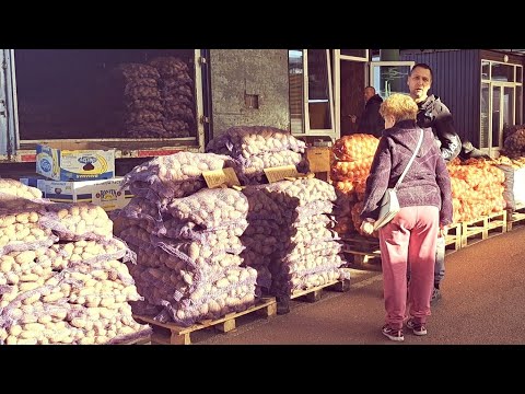 Видео: ЗАКУПОВУЄМО КАРТОПЛЮ НА ЗИМУ