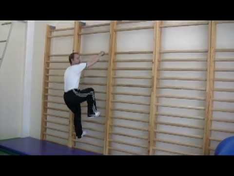 Видео: Лазанье по гимнастической стенке