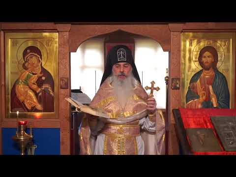 Видео: Будем поступать осторожно, потому что дни лукавы.