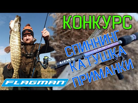 Видео: НОВЫЙ РАК НА ДЖИГ-РИГ УДИВЛЯЕТ! Рыбалка на щуку 2020. Ловля щуки зимой на спиннинг. КОНКУРС!